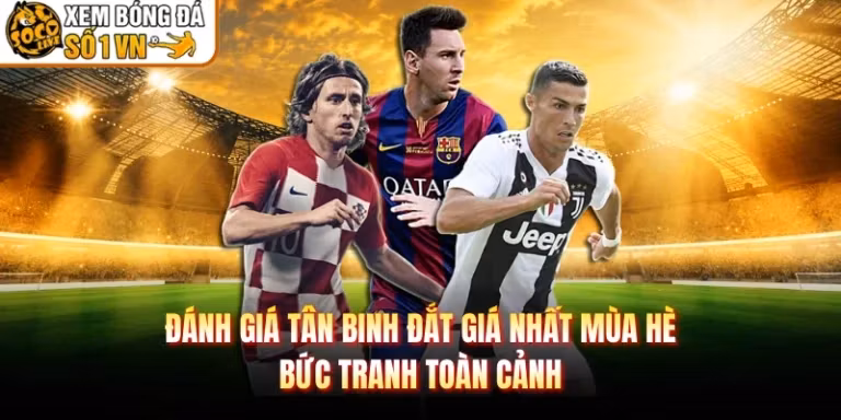 Đánh Giá Tân Binh Đắt Giá Nhất Mùa Hè - Bức Tranh Toàn Cảnh